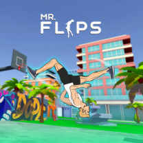 Mr Flip img