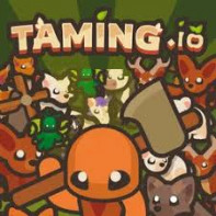 Taming io img