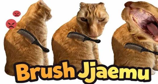 Brush Jjaemu screenshot